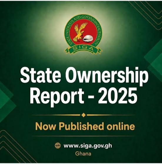 State ownership report highlights potential of state enterprises to perform well - enterprises