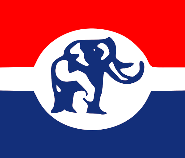 NPP must unite after national elections to face 2028 — June-July - 2028
